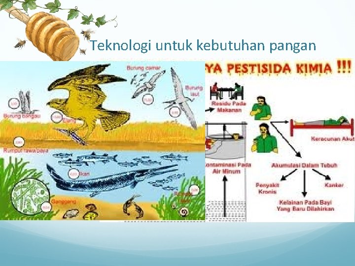 Teknologi untuk kebutuhan pangan Makanan kaleng. Pemberantasan hama dengan pestisida : insectisida, herbisida, fungisida