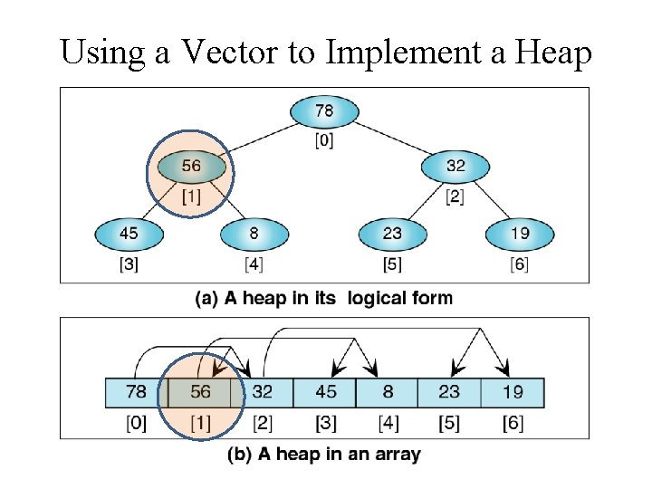 Using a Vector to Implement a Heap 