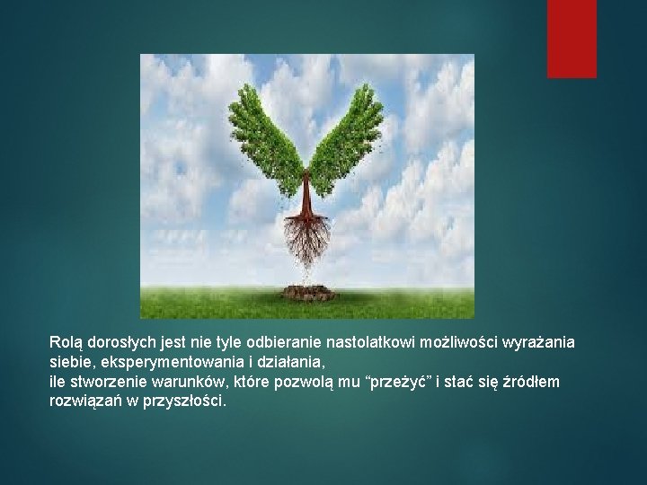 Rolą dorosłych jest nie tyle odbieranie nastolatkowi możliwości wyrażania siebie, eksperymentowania i działania, ile