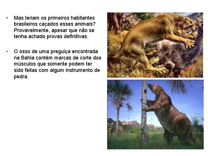  • Mas teriam os primeiros habitantes brasileiros caçados esses animais? Provavelmente, apesar que