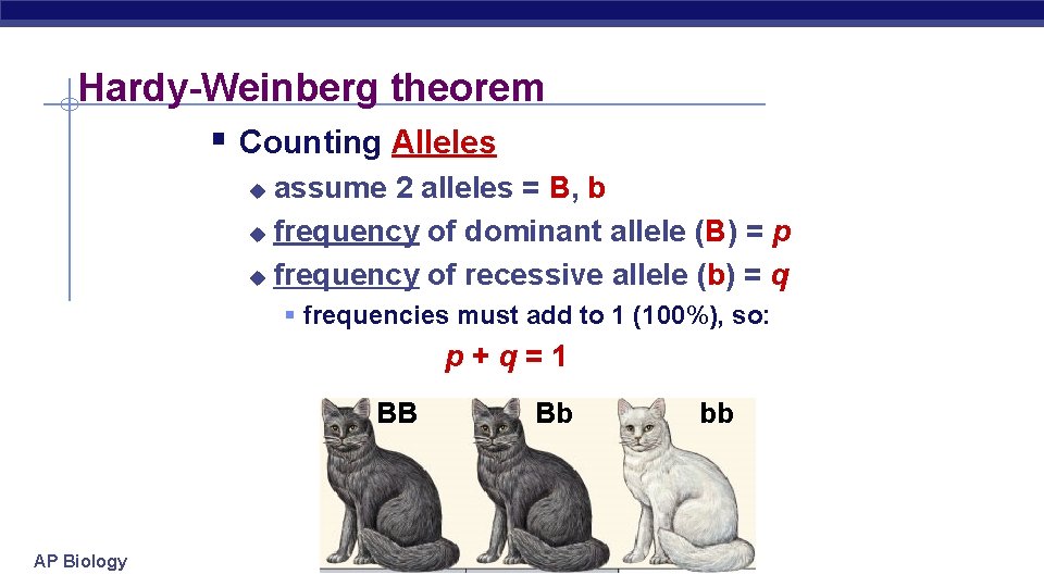 Hardy-Weinberg theorem § Counting Alleles assume 2 alleles = B, b u frequency of