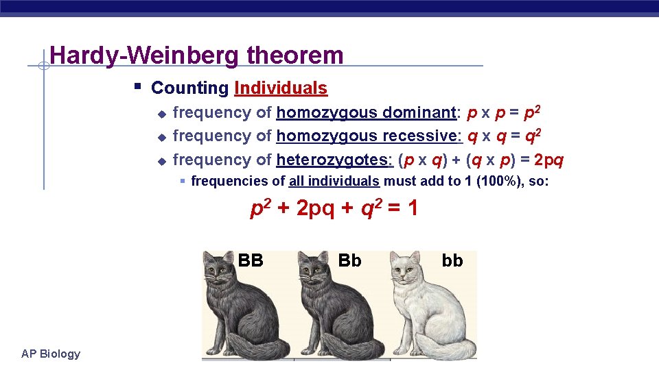 Hardy-Weinberg theorem § Counting Individuals u u u frequency of homozygous dominant: p x