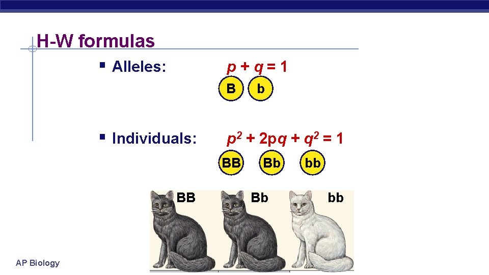 H-W formulas § Alleles: p+q=1 B § Individuals: p 2 + 2 pq +