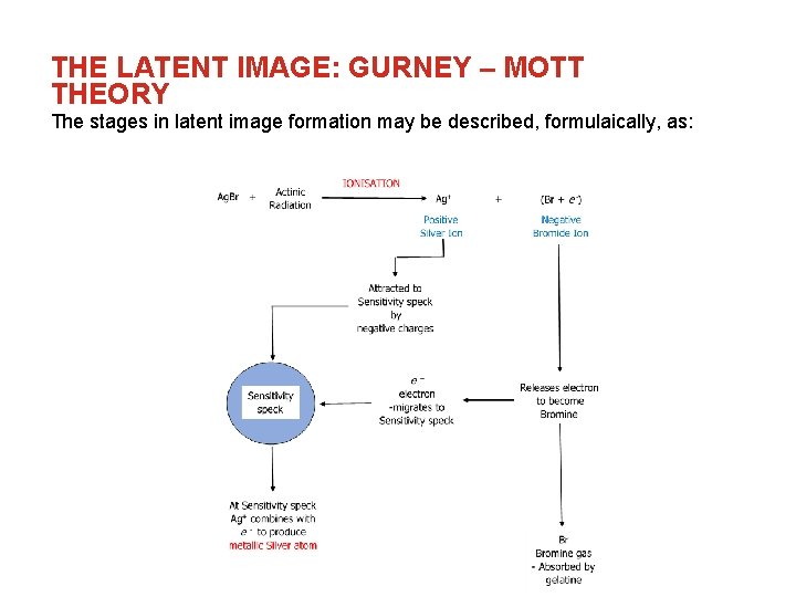 THE LATENT IMAGE: GURNEY – MOTT THEORY The stages in latent image formation may