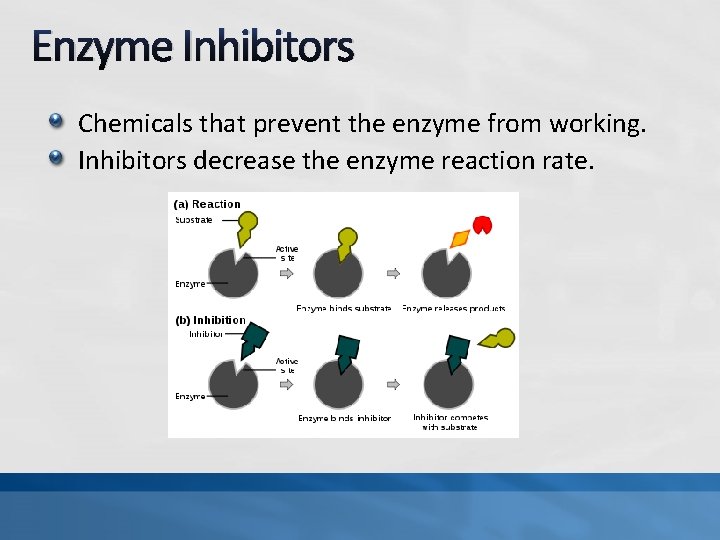 Enzyme Inhibitors Chemicals that prevent the enzyme from working. Inhibitors decrease the enzyme reaction