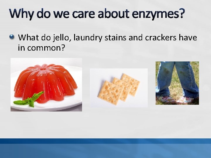 Why do we care about enzymes? What do jello, laundry stains and crackers have