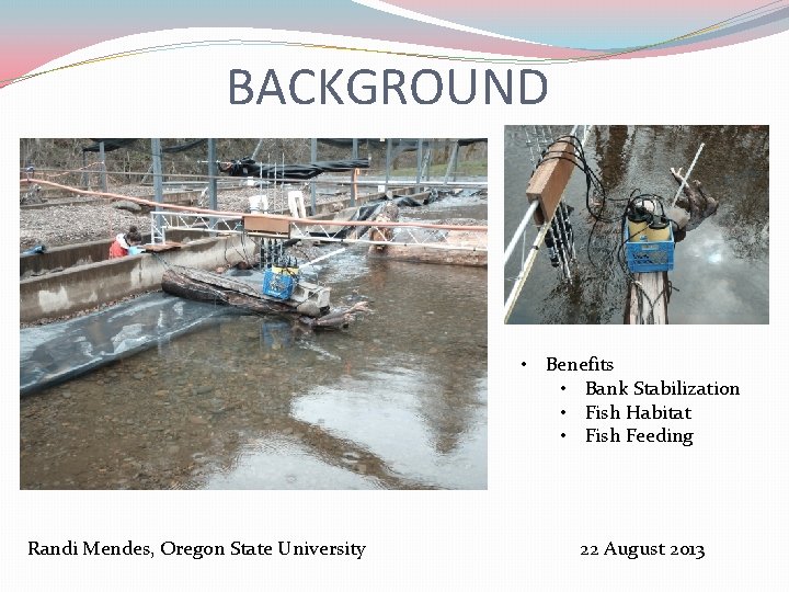 BACKGROUND • Benefits • Bank Stabilization • Fish Habitat • Fish Feeding Randi Mendes,