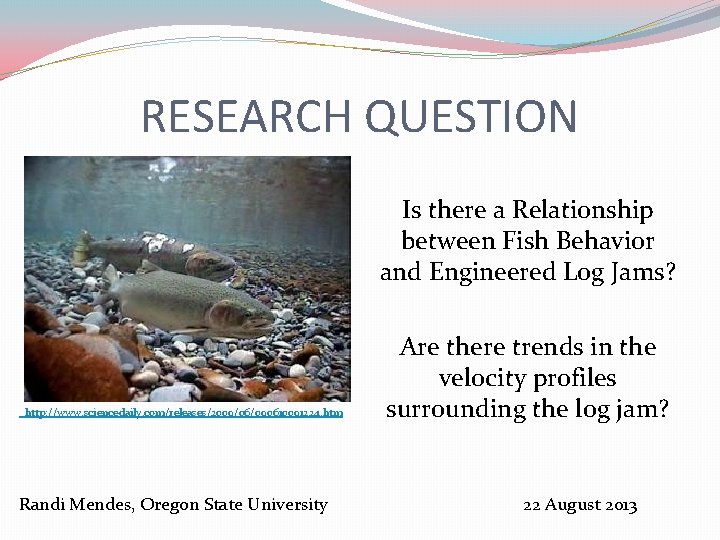 RESEARCH QUESTION Is there a Relationship between Fish Behavior and Engineered Log Jams? http: