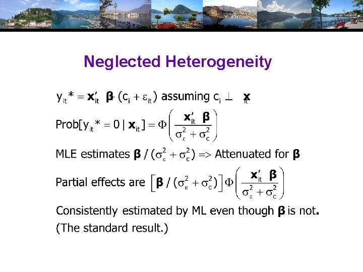 Neglected Heterogeneity Neglected Heterogeneity