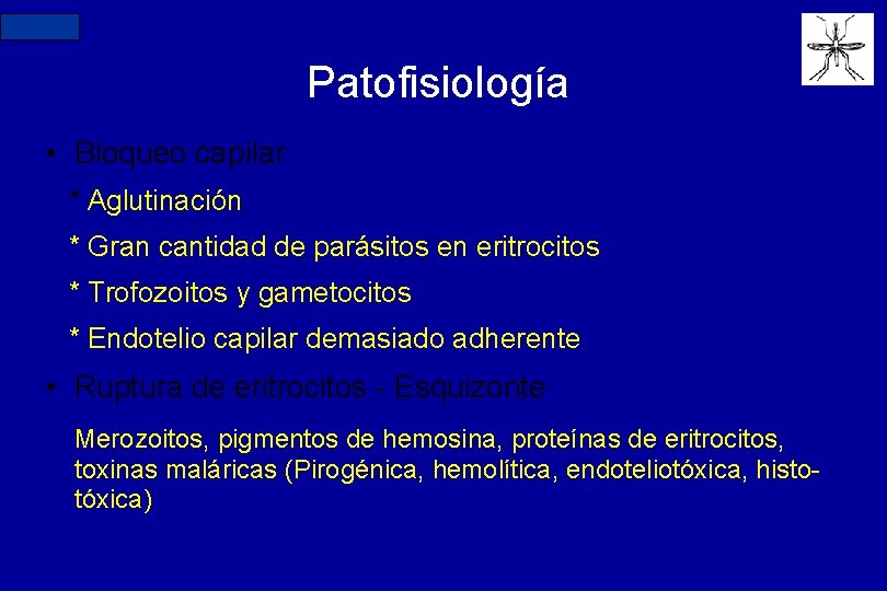 N=234 Patofisiología • Bloqueo capilar * Aglutinación * Gran cantidad de parásitos en eritrocitos