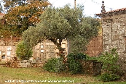 Vestibule de l'église de Santa Maria de Aguasantas (Cotobade) 