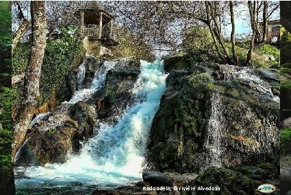 La réserve de biosphère de Muniellos, à Cangas del Narcea, dans les Asturies. Redondela,