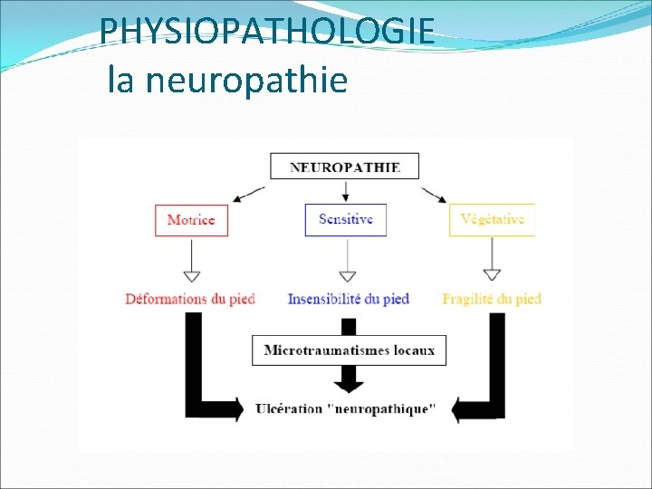 PHYSIOPATHOLOGIE la neuropathie 