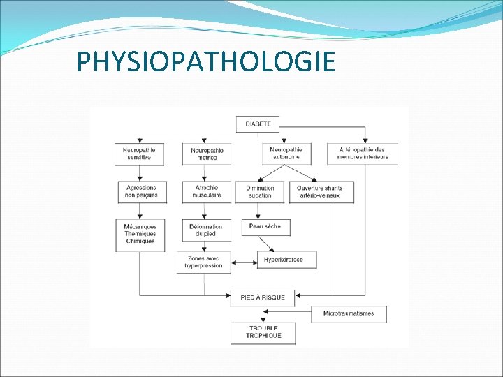 PHYSIOPATHOLOGIE 