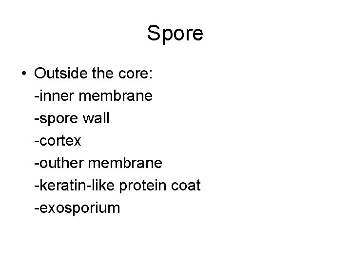Spore • Outside the core: -inner membrane -spore wall -cortex -outher membrane -keratin-like protein