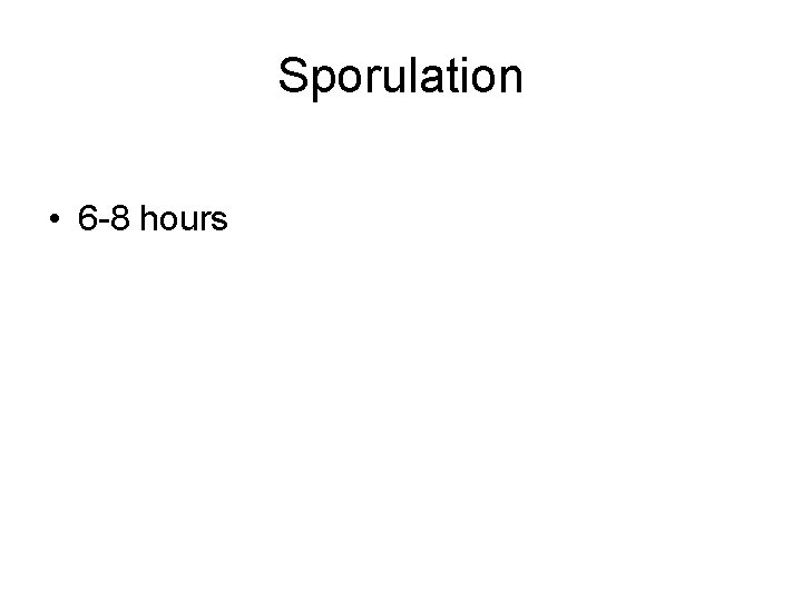 Sporulation • 6 -8 hours 