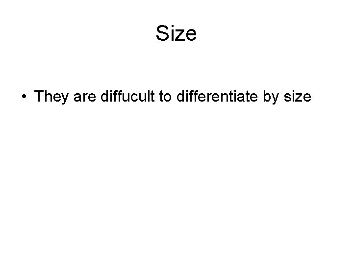 Size • They are diffucult to differentiate by size 