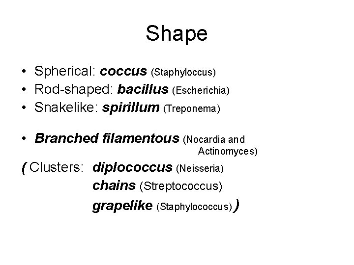 Shape • Spherical: coccus (Staphyloccus) • Rod-shaped: bacillus (Escherichia) • Snakelike: spirillum (Treponema) •