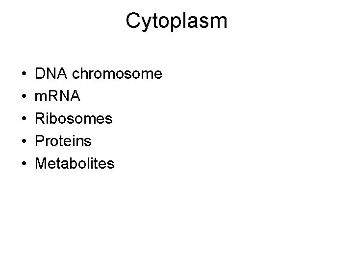 Cytoplasm • • • DNA chromosome m. RNA Ribosomes Proteins Metabolites 