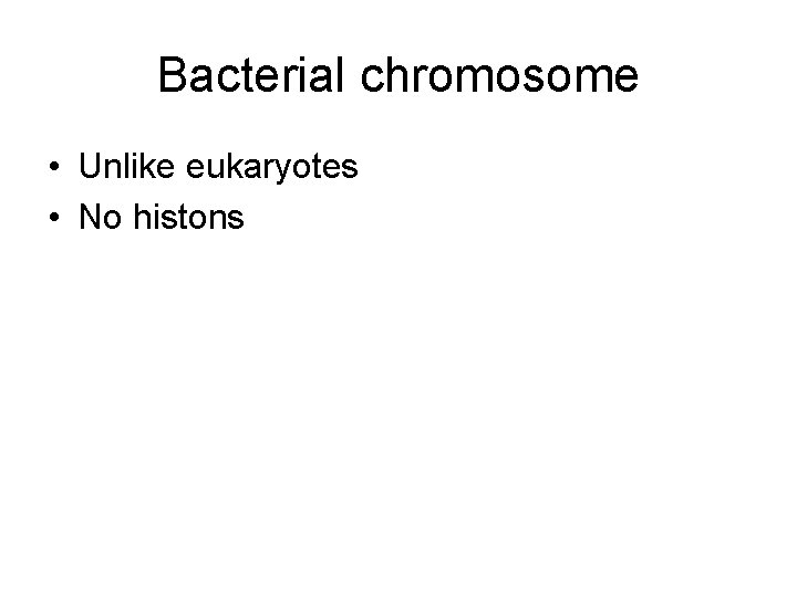 Bacterial chromosome • Unlike eukaryotes • No histons 
