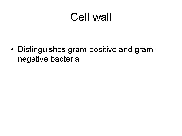 Cell wall • Distinguishes gram-positive and gramnegative bacteria 