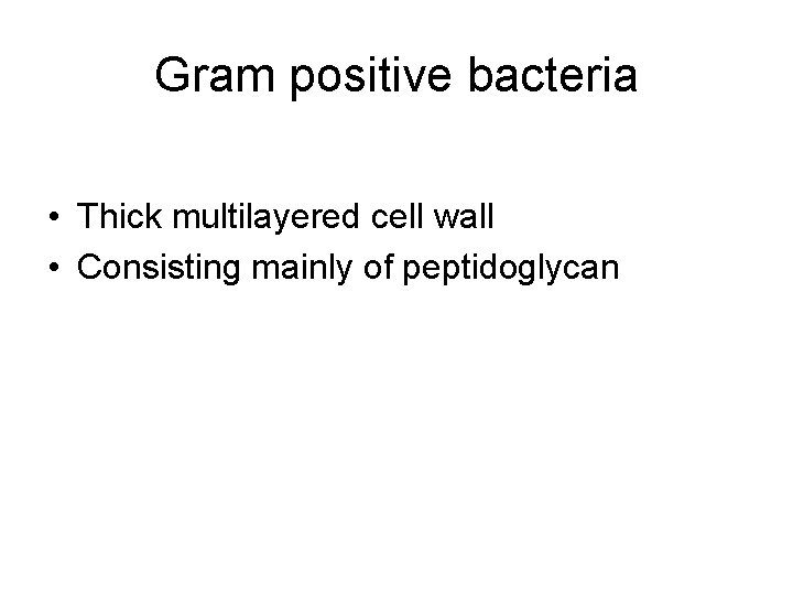 Gram positive bacteria • Thick multilayered cell wall • Consisting mainly of peptidoglycan 