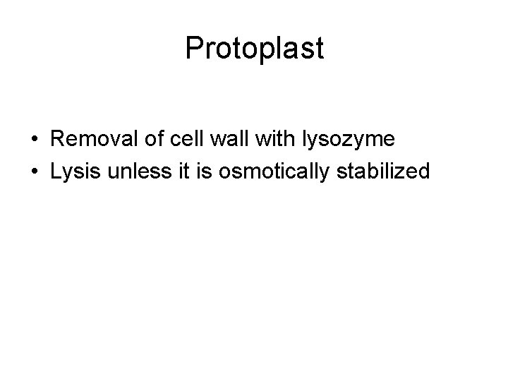Protoplast • Removal of cell wall with lysozyme • Lysis unless it is osmotically