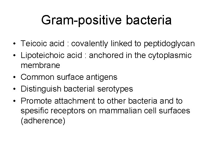 Gram-positive bacteria • Teicoic acid : covalently linked to peptidoglycan • Lipoteichoic acid :