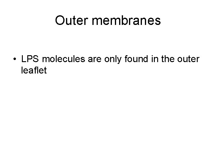 Outer membranes • LPS molecules are only found in the outer leaflet 