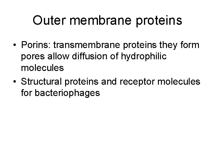 Outer membrane proteins • Porins: transmembrane proteins they form pores allow diffusion of hydrophilic