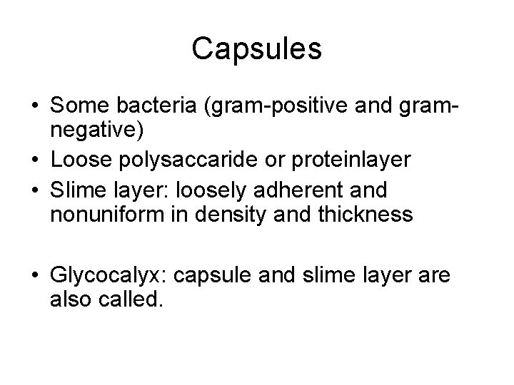 Capsules • Some bacteria (gram-positive and gramnegative) • Loose polysaccaride or proteinlayer • Slime