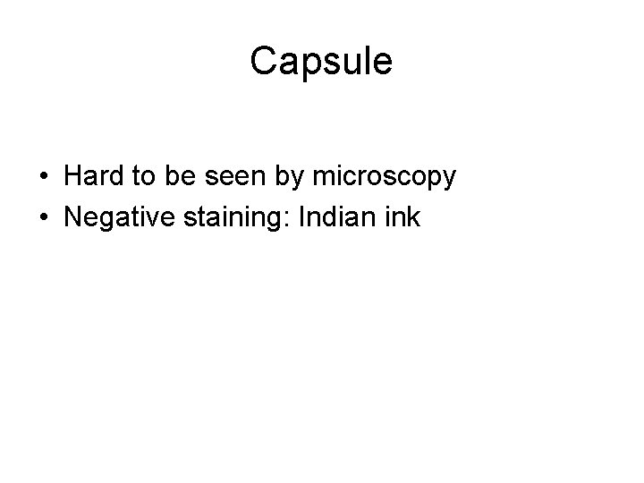 Capsule • Hard to be seen by microscopy • Negative staining: Indian ink 