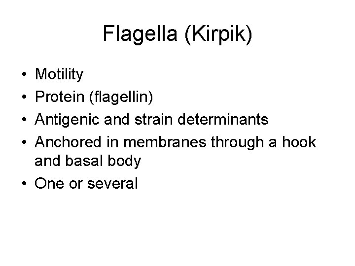 Flagella (Kirpik) • • Motility Protein (flagellin) Antigenic and strain determinants Anchored in membranes