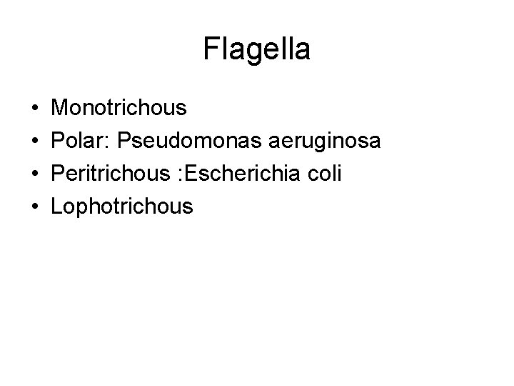 Flagella • • Monotrichous Polar: Pseudomonas aeruginosa Peritrichous : Escherichia coli Lophotrichous 
