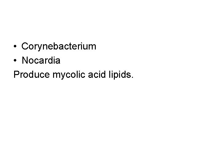  • Corynebacterium • Nocardia Produce mycolic acid lipids. 