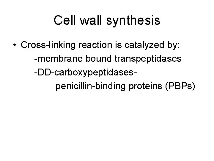 Cell wall synthesis • Cross-linking reaction is catalyzed by: -membrane bound transpeptidases -DD-carboxypeptidasespenicillin-binding proteins