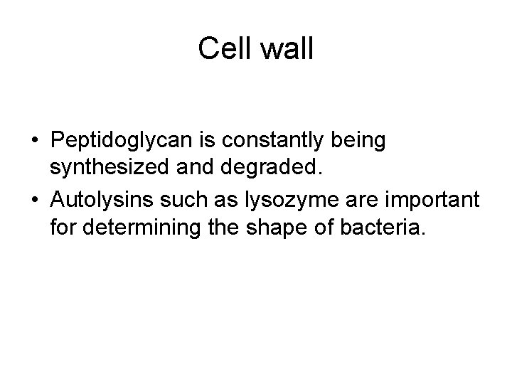 Cell wall • Peptidoglycan is constantly being synthesized and degraded. • Autolysins such as