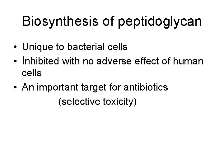Biosynthesis of peptidoglycan • Unique to bacterial cells • İnhibited with no adverse effect