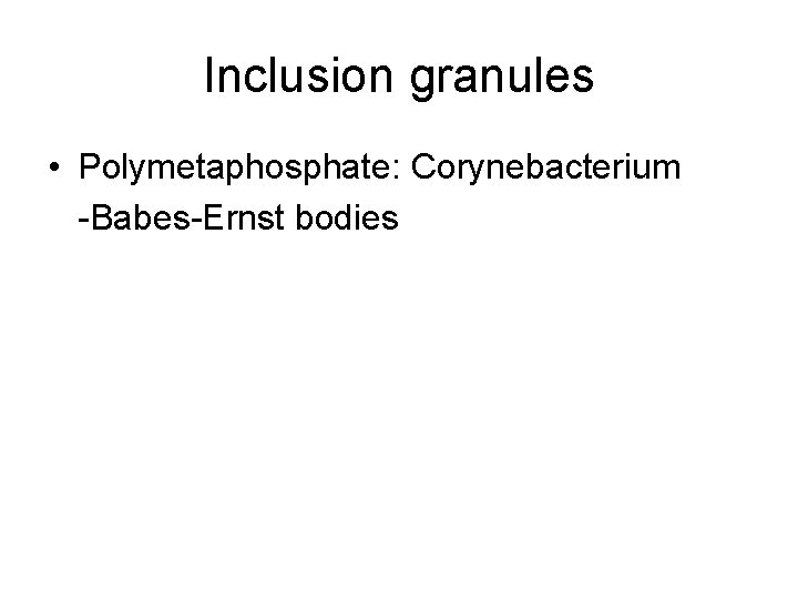 Inclusion granules • Polymetaphosphate: Corynebacterium -Babes-Ernst bodies 