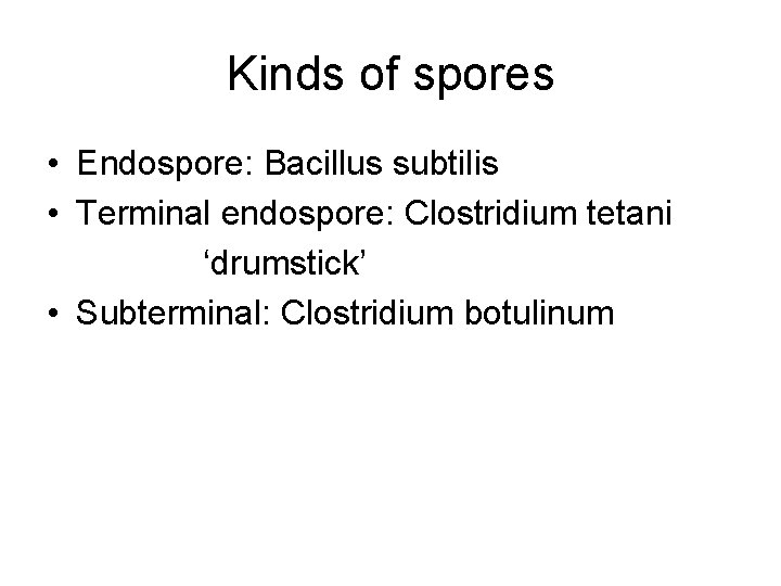 Kinds of spores • Endospore: Bacillus subtilis • Terminal endospore: Clostridium tetani ‘drumstick’ •