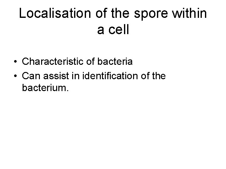 Localisation of the spore within a cell • Characteristic of bacteria • Can assist