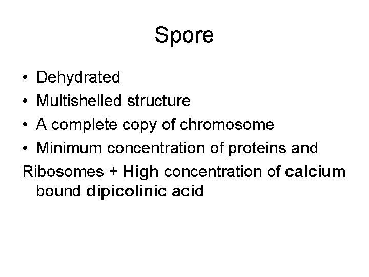 Spore • Dehydrated • Multishelled structure • A complete copy of chromosome • Minimum