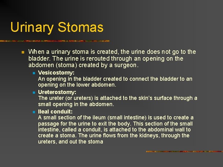 Urinary Stomas n When a urinary stoma is created, the urine does not go