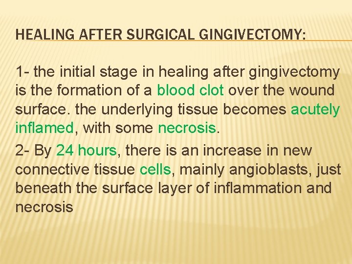 HEALING AFTER SURGICAL GINGIVECTOMY: 1 - the initial stage in healing after gingivectomy is