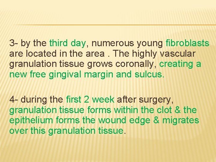 3 - by the third day, numerous young fibroblasts are located in the area.