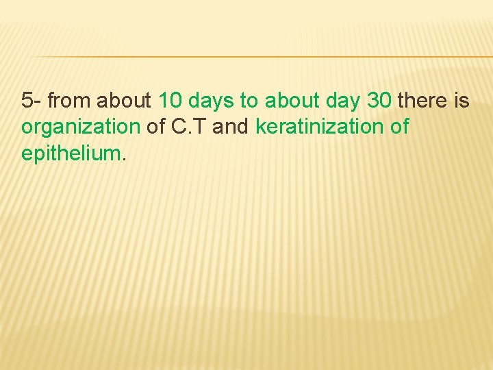 5 - from about 10 days to about day 30 there is organization of