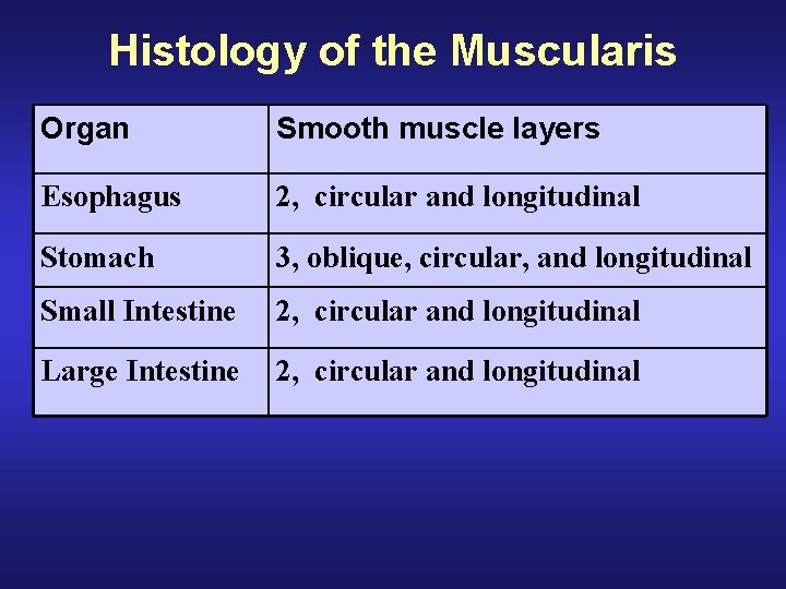Histology of the Muscularis Organ Smooth muscle layers Esophagus 2, circular and longitudinal Stomach