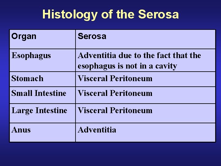 Histology of the Serosa Organ Serosa Esophagus Stomach Adventitia due to the fact that
