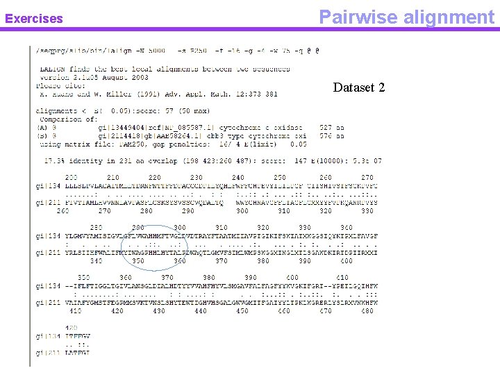 Exercises Pairwise alignment Dataset 2 