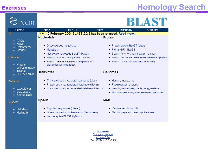 Exercises Homology Search 